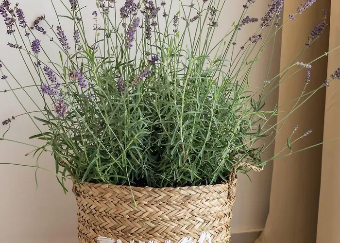 Wood One Apartment *